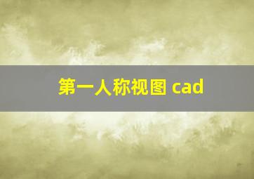 第一人称视图 cad